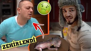 Kurt Adam Homunculusu Yedi̇ Zehi̇rlendi̇ Belgo
