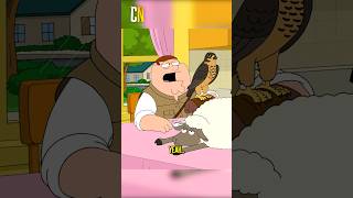 This Is Your Purse Family Guy