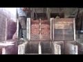 Cultivo y procesamiento del cacao Parroquia San Carlos Joya de los Sachas