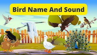 30 Bird Names In English For Learning Bird Sounds