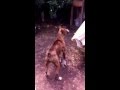 La peppa sacando su pan !!!