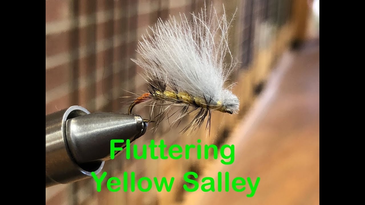 Fluttering Yellow Sally