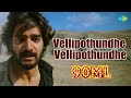 Vellipothundhe Vellipothundhe Video Song | 90ML | Kartikeya | Adnan Sami | Anup Rubens