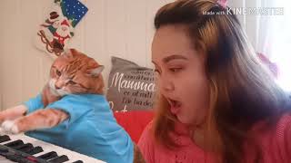 Morsom Katt