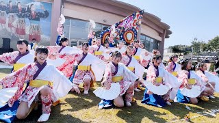 横　桜道里 ① 夕凪の綺羅星 240303 浜村温泉しょうがぽかぽかフェスタ