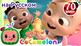 Новый Хозяин Для Хомяка🏠 | Детские Песенки Cocomelon