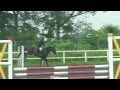 2012 壬生ジャンピング どん君