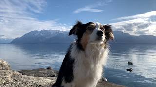 Cully, Switzerland - Sunny Sunday In Spring
