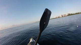 Amazing Florida Lobsters Diving W Hookah Rig & Dolphins Grouper Hogfish Feeding