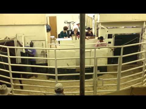 princeton livestock market