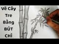 Vẽ Cây Tre bằng bút chì - How to draw Bamboo