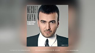 Necdet Kaya - Kopardılar Dallarımı - Full Albüm