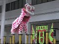 Chinese Lion Dance Dangerous High Pedestals images Chinese Lion Dance Dangerous High Pedestals