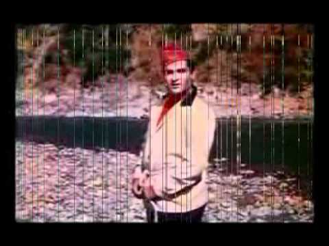 Aye Gulbadan-Professor-Shammi Kapoor-A Tribute on Birth anniversary...