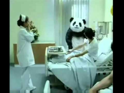 Panda sir