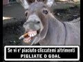 Edinson Cavani Canzone (Title DOPO 90 MINUTI Canta G Tufano pdn musica Karaoke