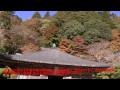 雲巌寺の紅葉