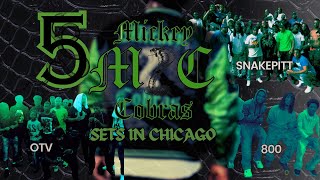 5 Mickey Cobra Sets In Chicago Chicago Gangs