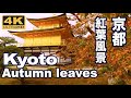 ［4K］美しい京都の紅葉 More beautiful Kyoto autumn in the world　京都観光　日本の紅葉