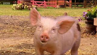 Big Barn Farm Series 2 Episode 2 Whats That Smell?