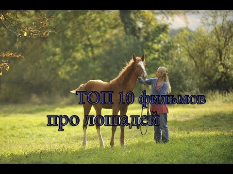 Фильм 2018 про лошадей Фильм 2018 про лошадей