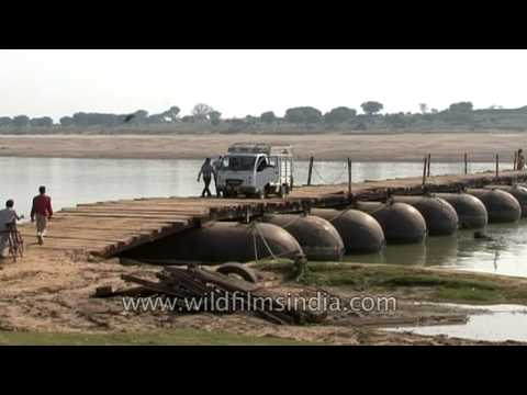 Kota Videos - Chambal makeshift pontoon bridge