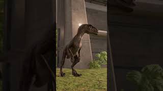 Velociraptor Vs Deinonychus - Juric World Evolution2
