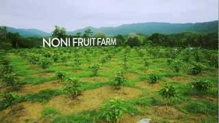 Organicnatural-farming-fish-amino-acid-fermented-fruit-juice-calphos