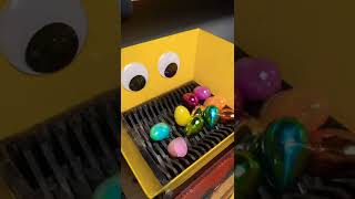 Eggs Shredding