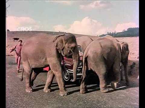 Chal Chal Chal Mere Saathi Song - Haathi Mere Saathi