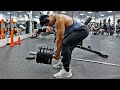 Upgrade Day 6/30 - Best Back, Biceps and Traps workout in 2024 [Hindi]