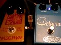 Fuzzbot71