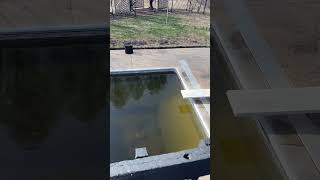 Dirty Pool Cleanup