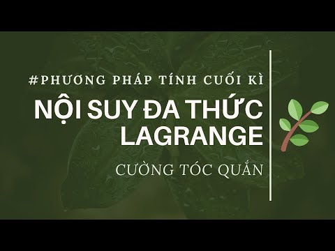 #4 Nội suy đa thức Lagrange | Phương pháp tính cuối kì
