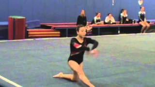 WHS Gymn vs RHAM 1 23 16