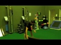 Top Hip Exercises with Foam Roller to Improve Running Speed and Power