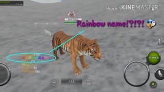 Watch Animals Rainbow video