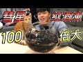 【狠愛演】彗星紅酒凍!100倍大『吃出驚人口感』