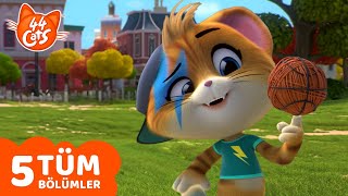 44 Kedi Top 5 Lampo Tam Bölüm Çocuklar Için Çizgi Film