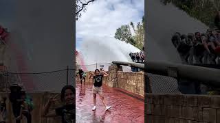 Montanha-Russa Sheikra Do Busch Gardens Tampa