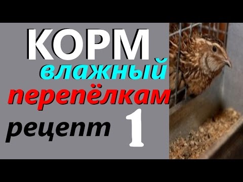 Как связать сапоги крючком, пошаговые фото и Как подобрать одежду по типу фигуры: 50 фото Fashion-Kingdom