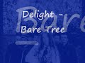 Bare Tree Video preview