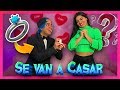 ¡YOLO LE PIDE MATRIMONIO A MARIANA! - Yolo Aventuras