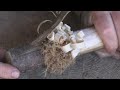 Survival Pro Tips 1 Making Fire with an Empty Bic