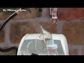 aerosol
