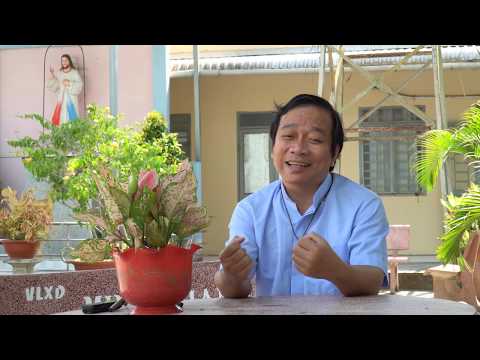 Đại dịch COVID19 và chia sẻ của Cha Anton Lê Ngọc Thanh, sau một tuần không Thánh Lễ.