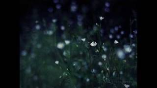 Watch Callmekat Flower In The Night video