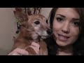 Megan Fox Makeup Tutorial - Red Carpet Glamour