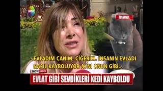 Evlat Gibi Sevdikleri Kedi Kayboldu