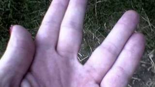 Watch Duels Idle Pursuits video